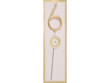 6 gold Goldstück rosa Wondercandle® classic | Boutique Ballooons