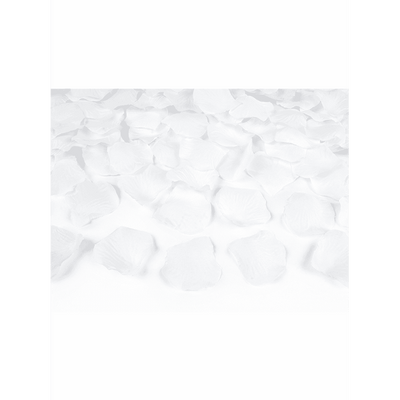 Konfettikanone XL - 60cm - Rosenblätter - Weiß