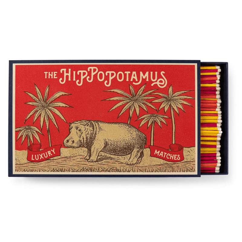 Hippopotamus