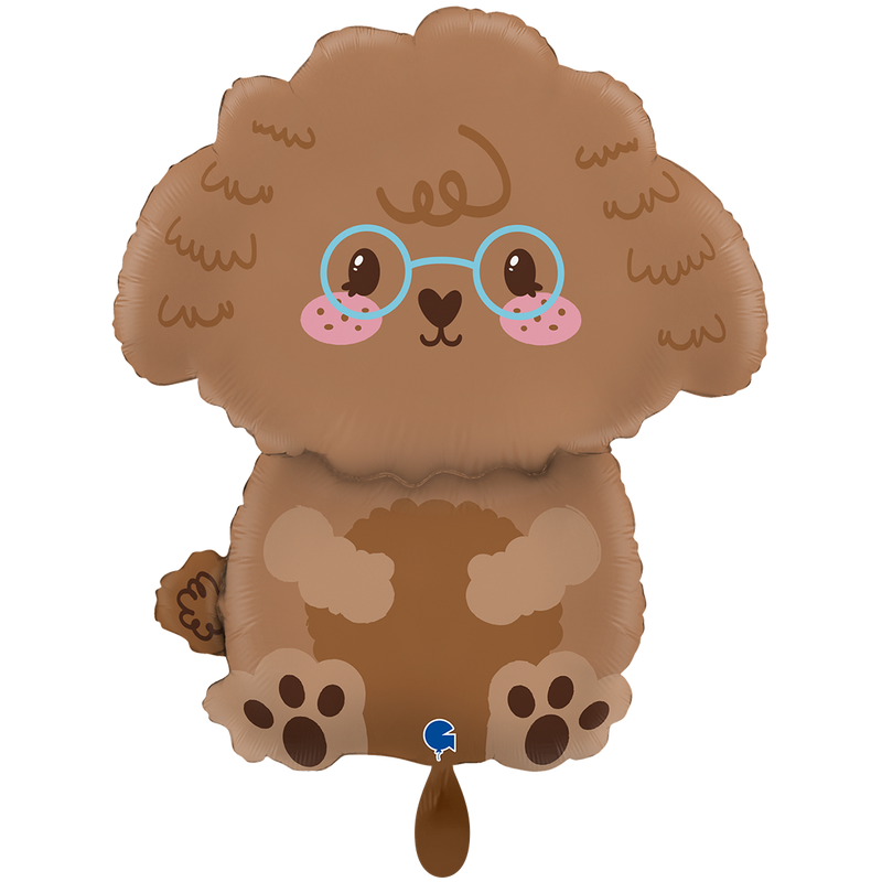 Cute Toy Poodle XXL