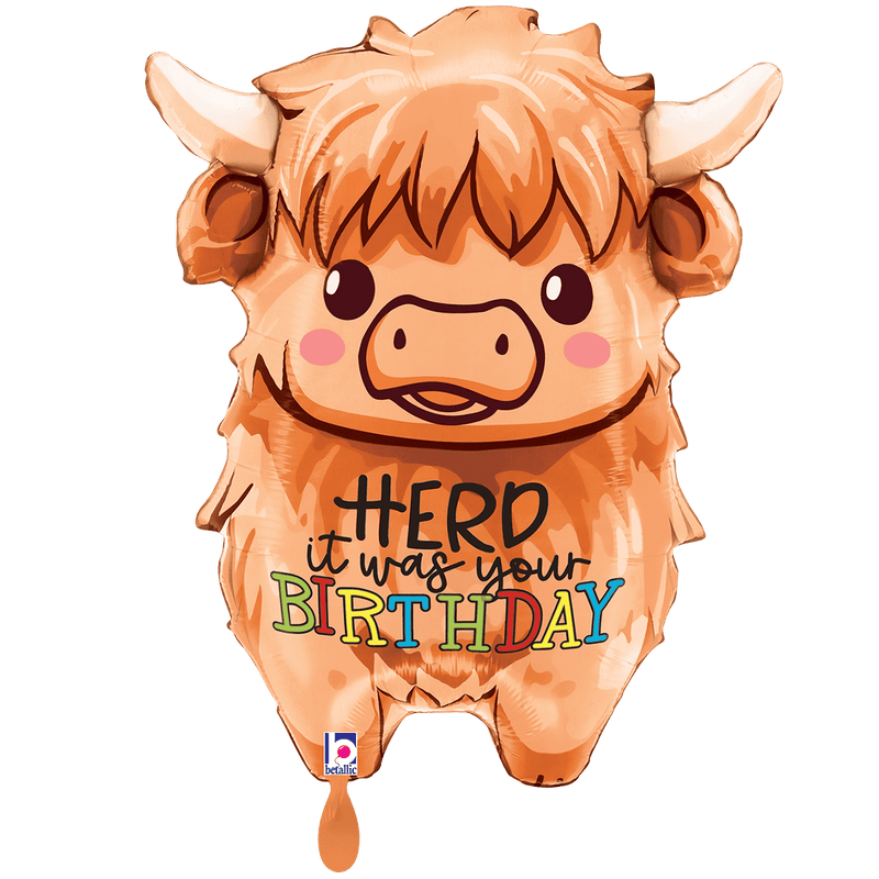 Highland Cow Birthday XXL