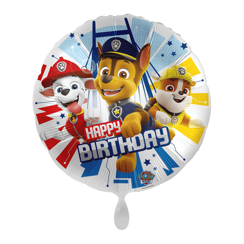 Nickelodeon - PAWect Birthday Heroes