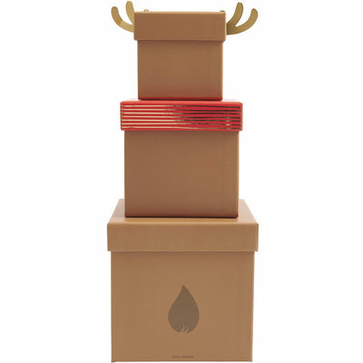 GESCHENKBOXEN-SET RENTIER 5-TEILIG