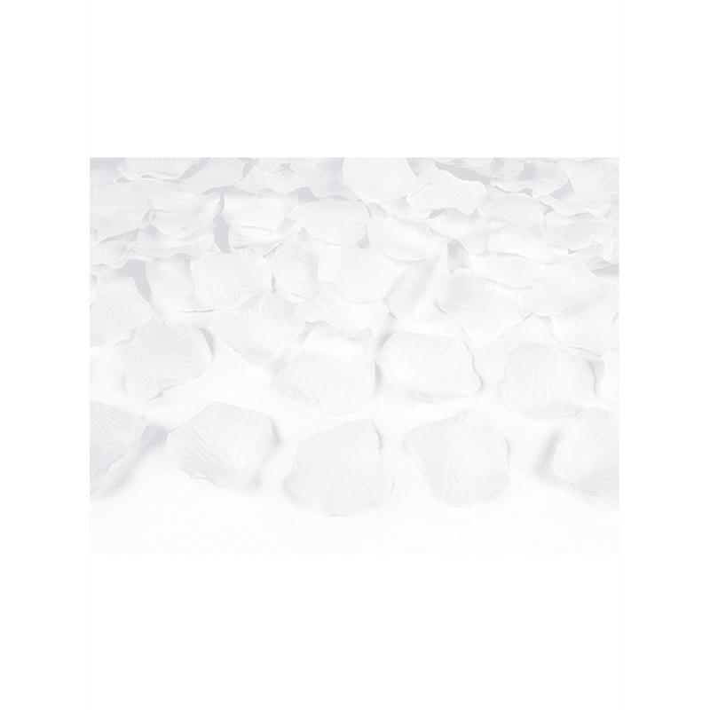 Konfettikanone - 40cm - Rosenblätter - Weiß