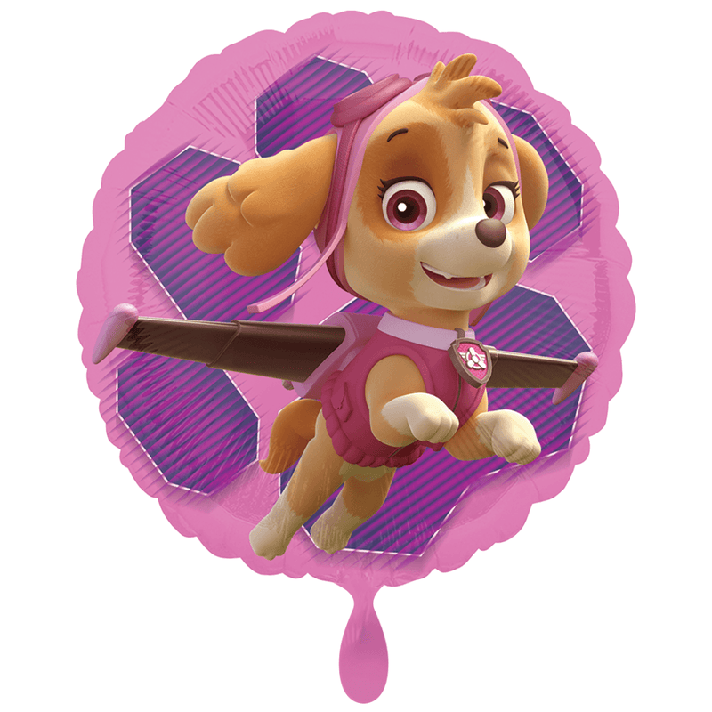 Paw Patrol Skye & Everest