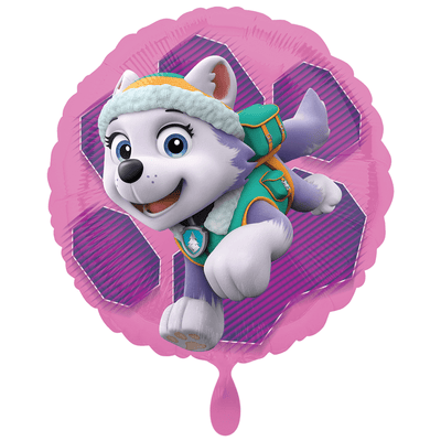 Paw Patrol Skye & Everest