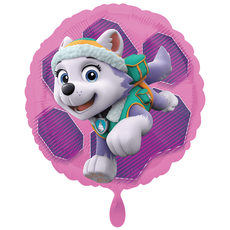 Paw Patrol Skye & Everest