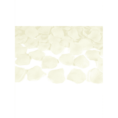 Konfettikanone - 40cm - Rosenblätter - Creme