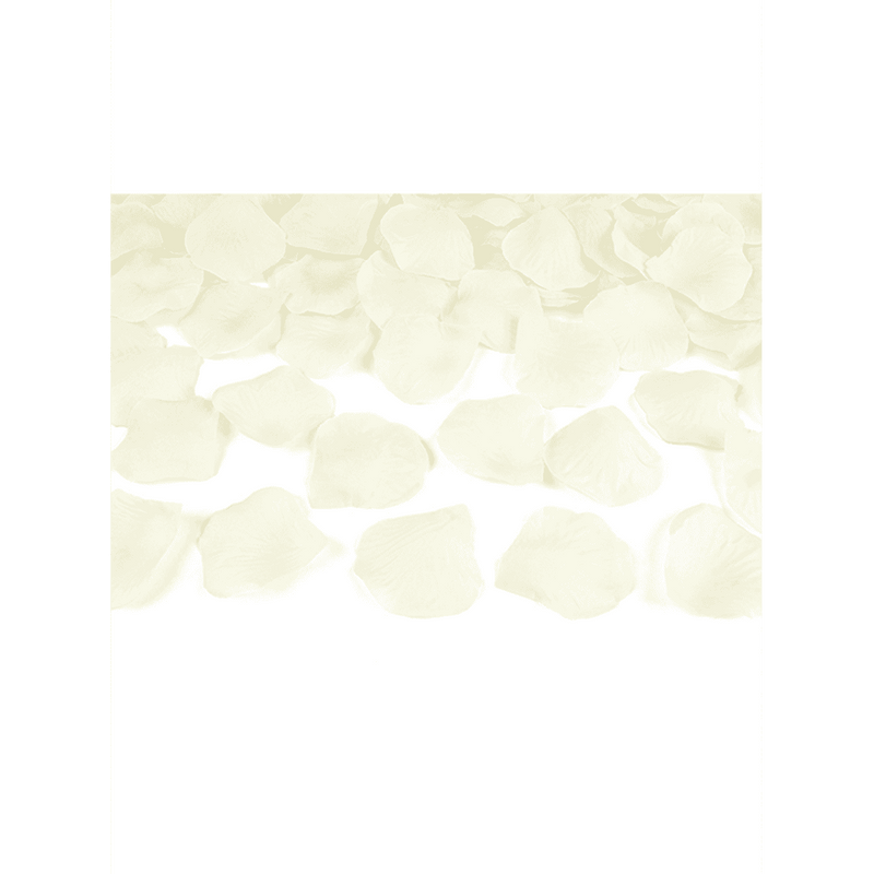 Konfettikanone - 40cm - Rosenblätter - Creme