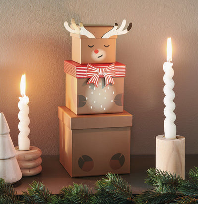 GESCHENKBOXEN-SET RENTIER 5-TEILIG