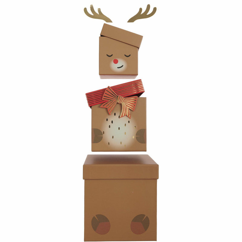 GESCHENKBOXEN-SET RENTIER 5-TEILIG