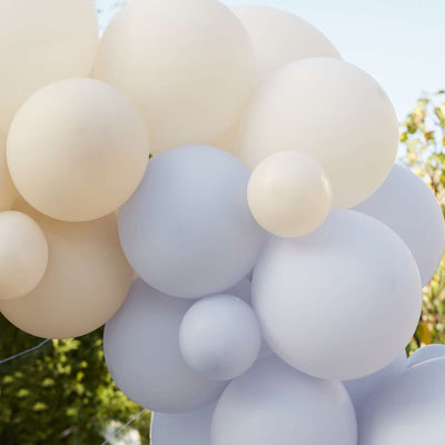 Blue and Nude Balloon Arch Kit