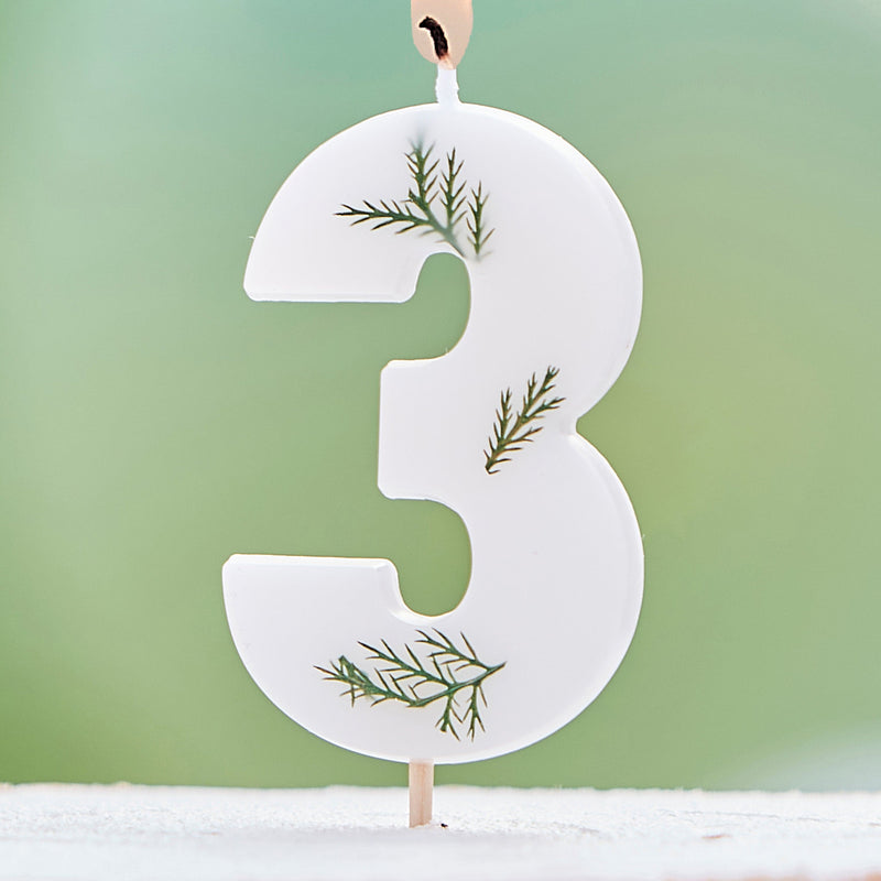 Leaf Foliage Number 3 Birthday Candle