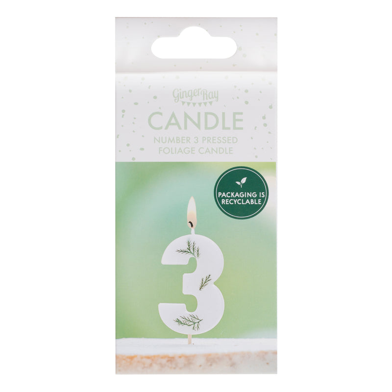 Leaf Foliage Number 3 Birthday Candle