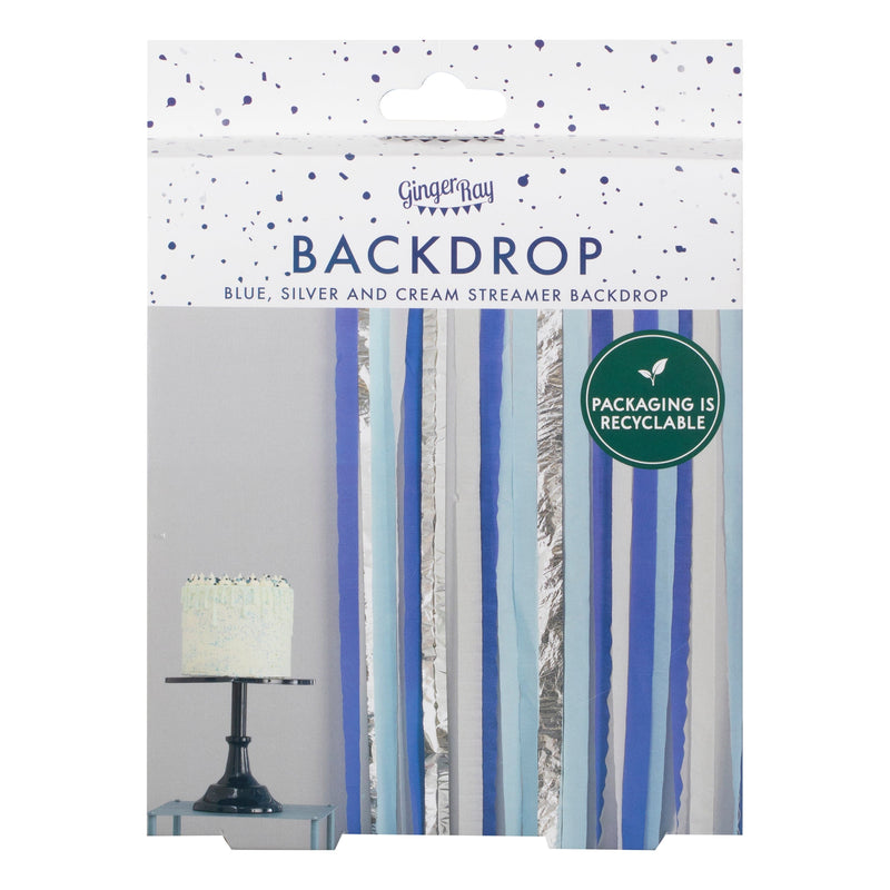Blue and Silver Streamer Backdrop | Boutique Ballooons
