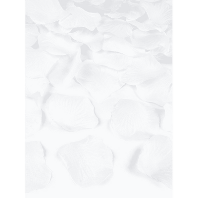 Rosenblätter - Weiß | Boutique Ballooons