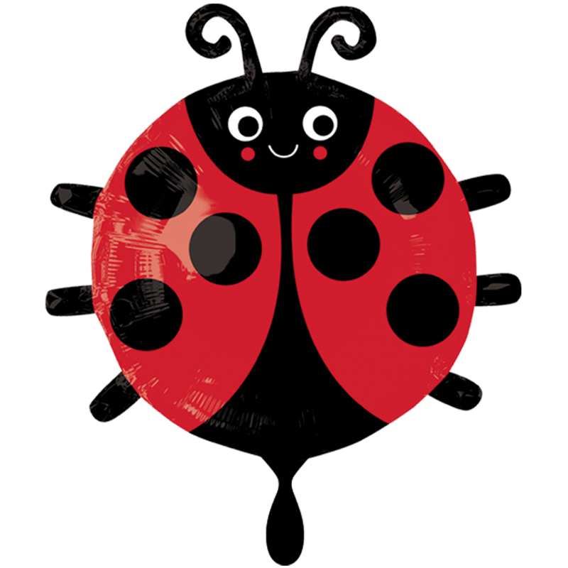 Happy Ladybug