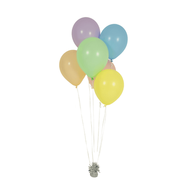 Nachhaltig Set | Boutique Ballooons
