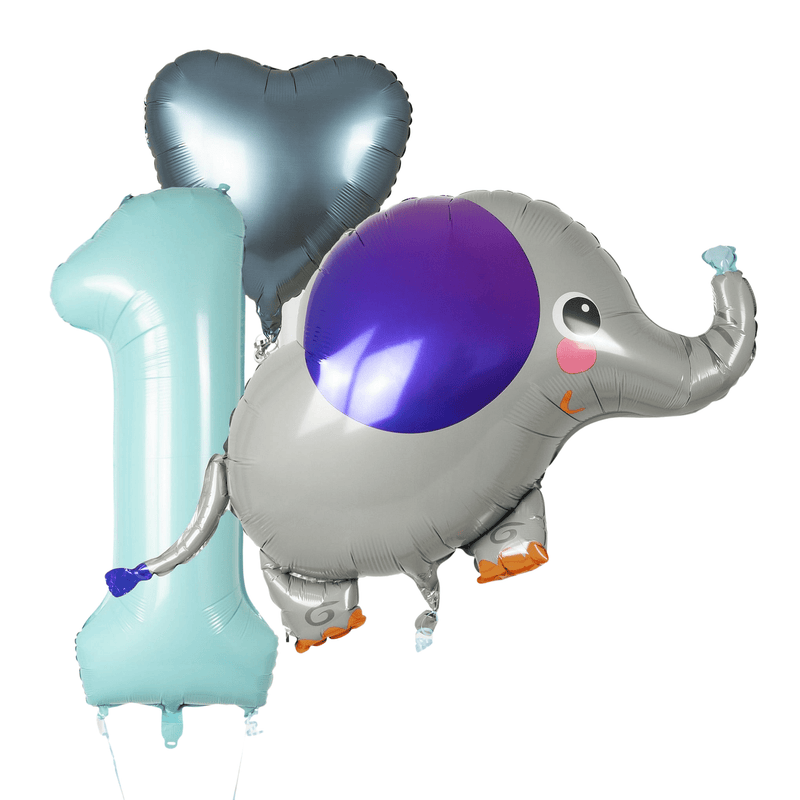 1st Birthday Boy Set