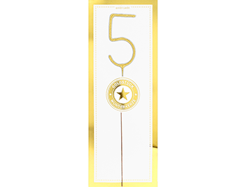 5 gold GIANT Goldstück weiß Wondercandle