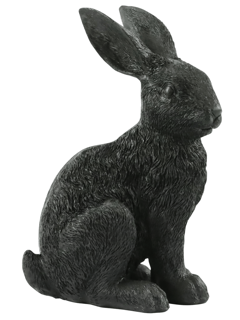 Hase Busy Bunny