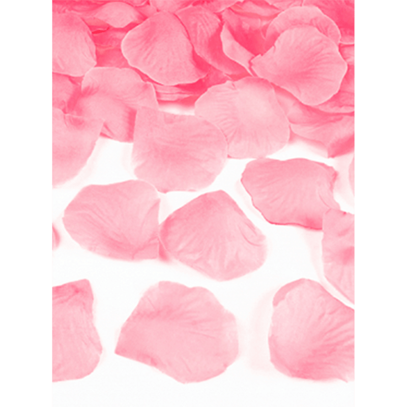 Rosenblätter - Rosa